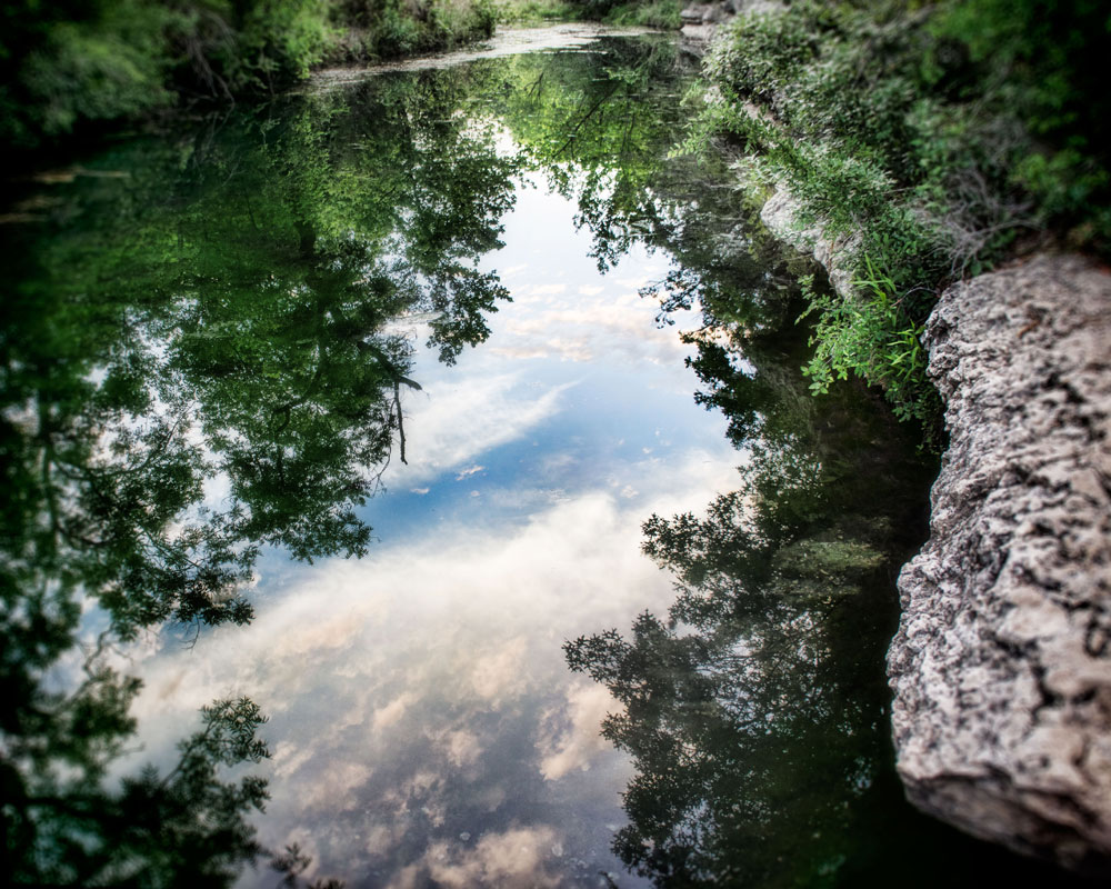 Cypress Creek