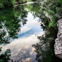 Cypress Creek