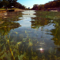 Barton Springs