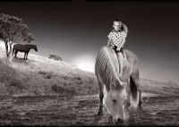 from Pecos series from Pecos series